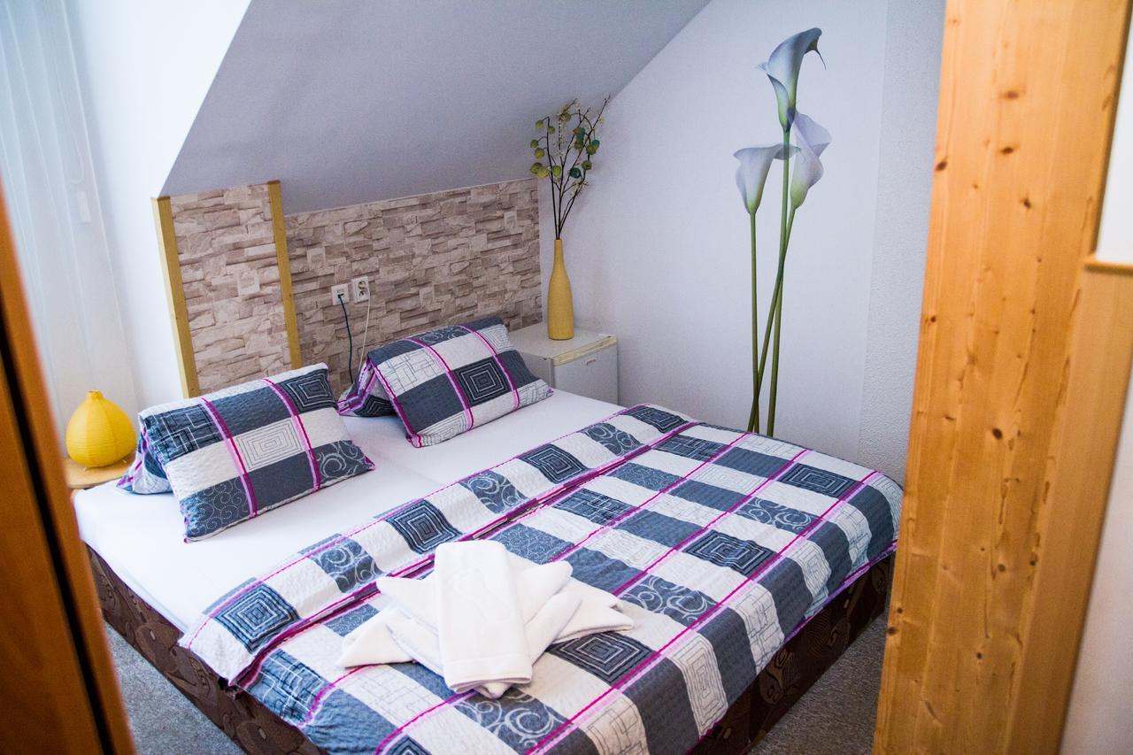 Pension Art Lázně Bohdaneč Extérieur photo